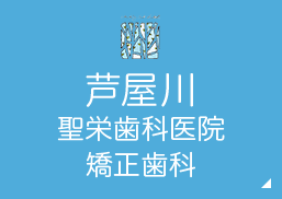 神戸・元町聖栄歯科医院矯正歯科