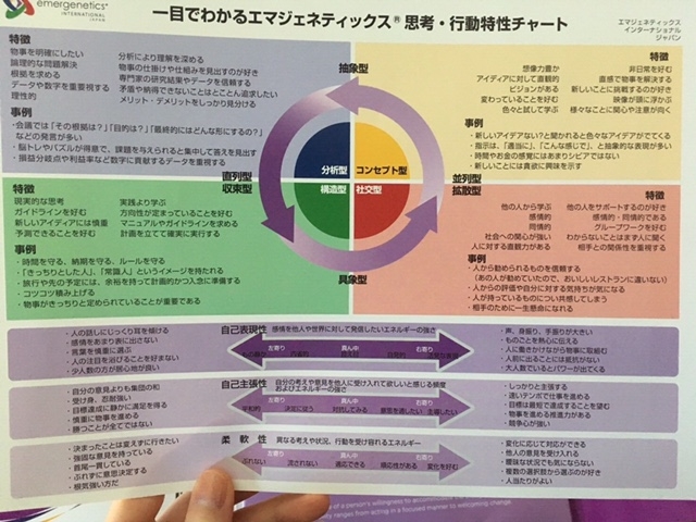 一目でわかるエマジェネティックス　思考・行動特性チャート