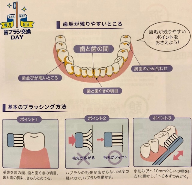 歯ブラシ交換　口腔メンテナンス 芦屋川聖栄歯科医院・矯正歯科