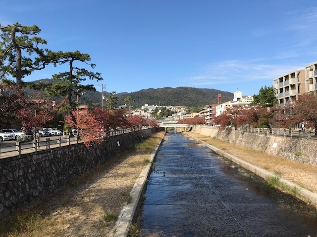 芦屋川聖栄歯科医院・矯正歯科