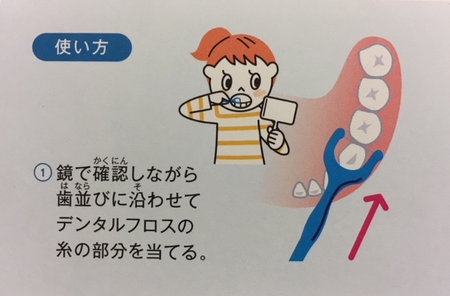 デンタルフロスの正しい使い方を（小学生向け）